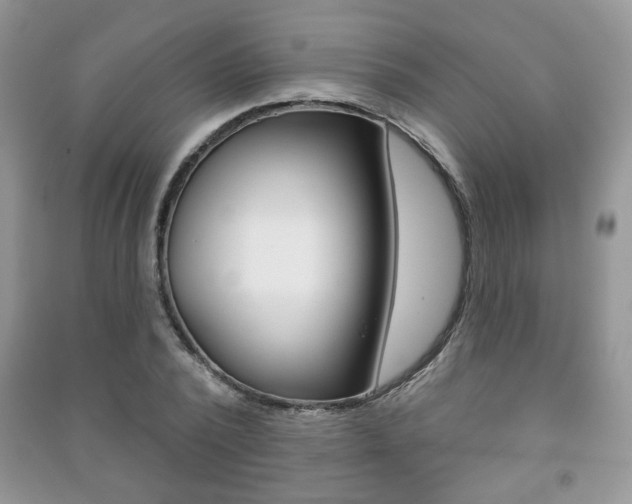 X0000091170784200708091023