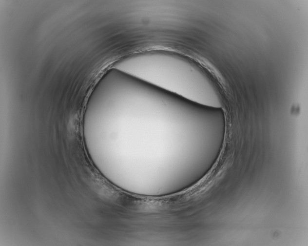 X0000091170785200708091023