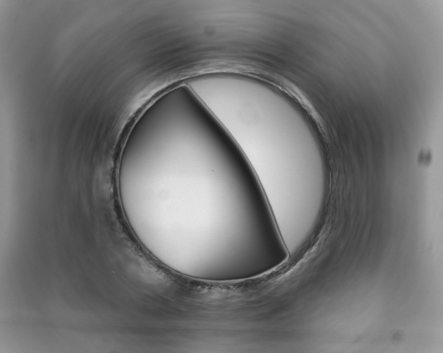 X0000091170786200708091023