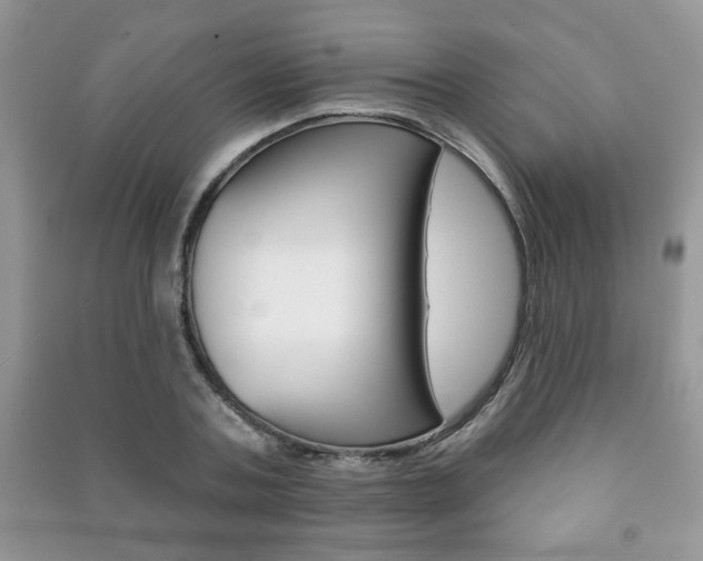 X0000091170787200708091023