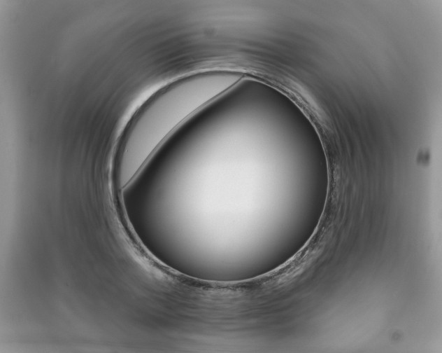 X0000091170788200708091023