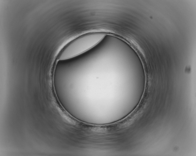 X0000091170789200708091023
