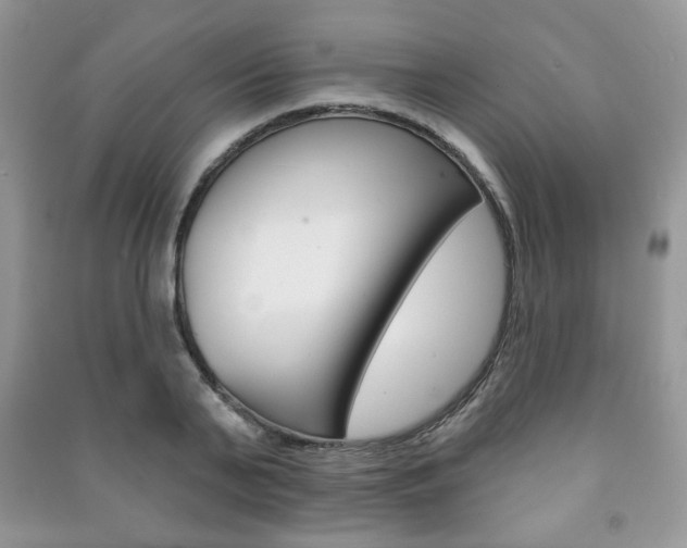 X0000091170791200708091023
