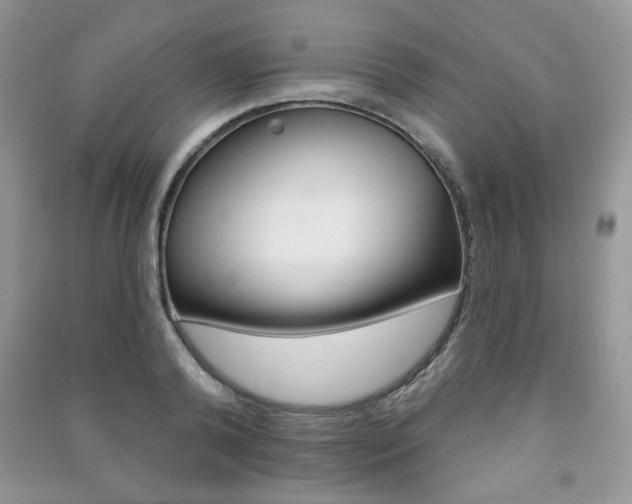X0000091170792200708091023