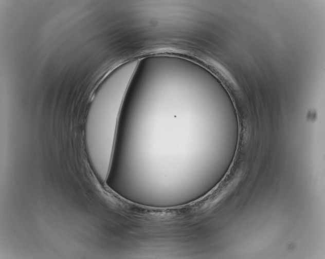 X0000091170793200708091023