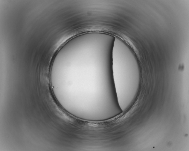 X0000091170794200708091022
