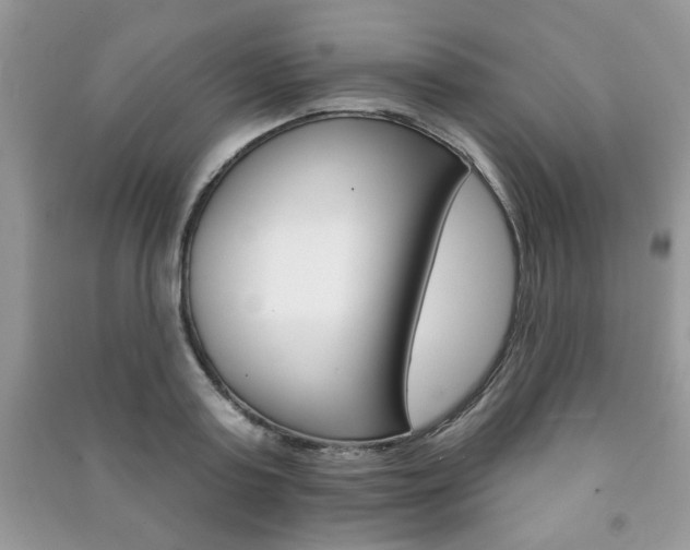 X0000091170795200708091022