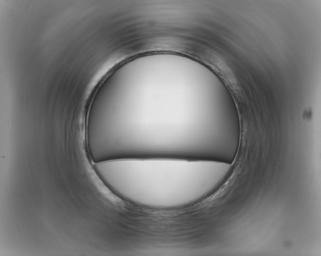X0000091170796200708091022