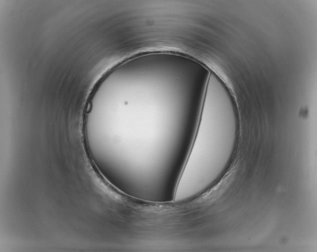 X0000091170797200708091022