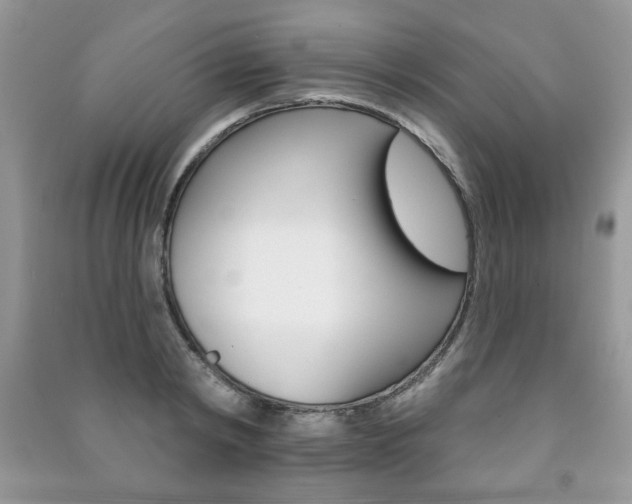 X0000091170798200708091022