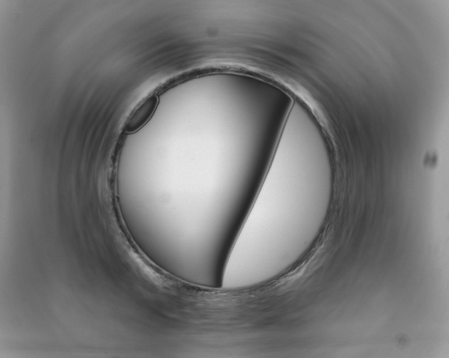 X0000091170799200708091022
