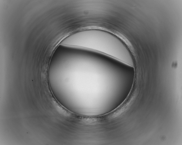 X0000091170801200708091022
