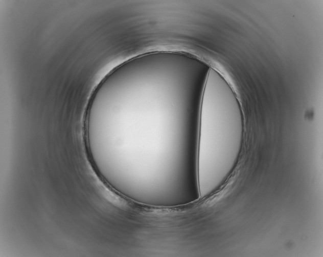 X0000091170803200708091022