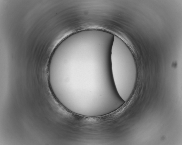 X0000091170806200708091022