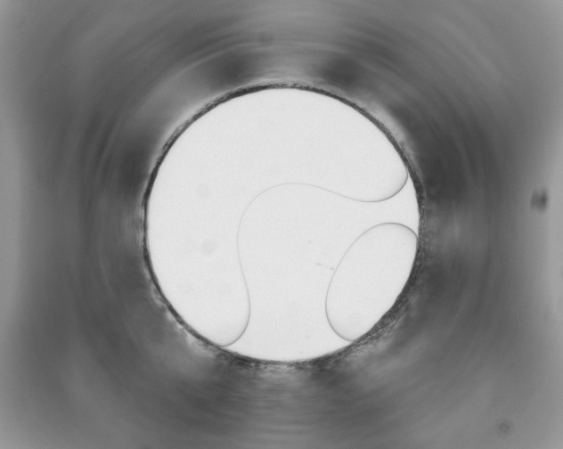 X0000091170807200708091022
