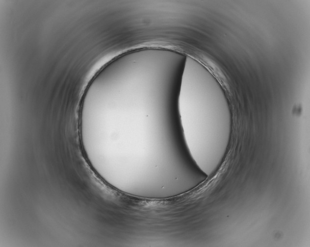 X0000091170808200708091022