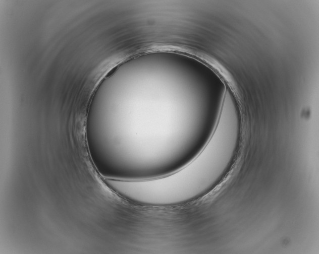 X0000091170809200708091022