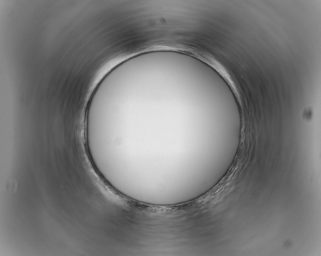 X0000091170811200708091022