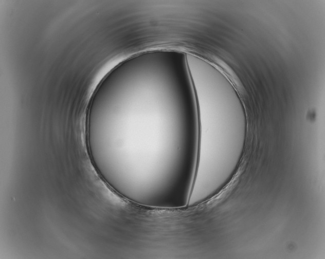 X0000091170812200708091022