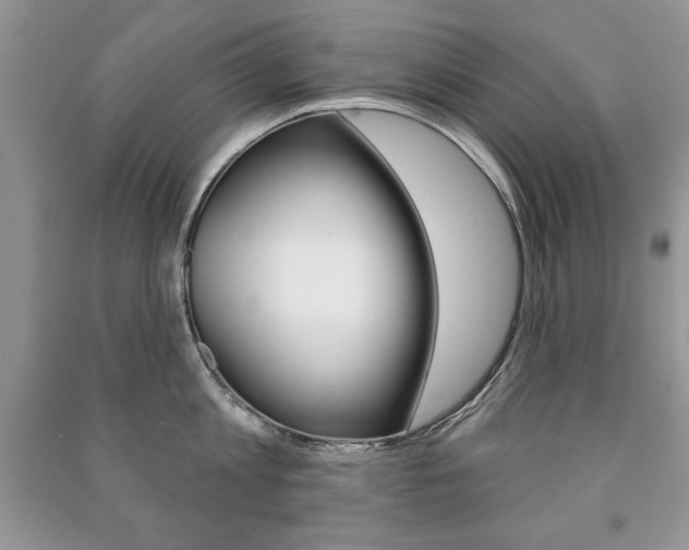 X0000091170813200708091022
