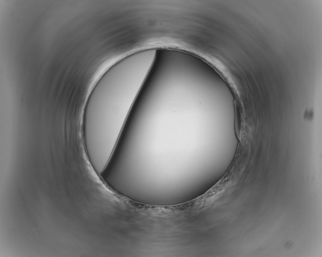 X0000091170815200708091022