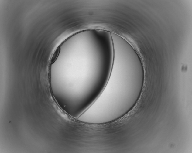 X0000091170816200708091022