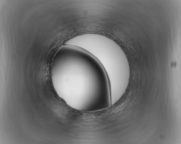X0000091170818200708091022