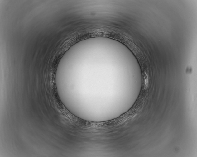 X0000091170819200708091022