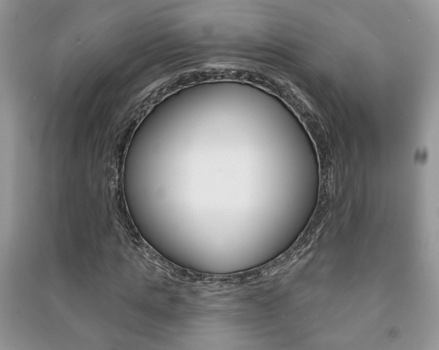 X0000091170821200708091022