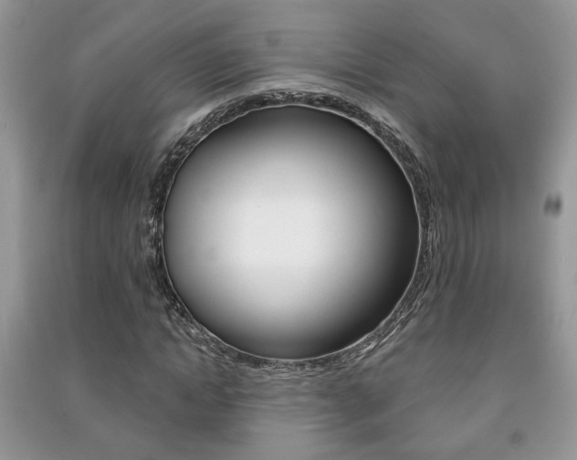 X0000091170822200708091022