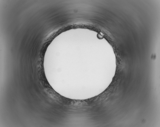 X0000091170824200708091022