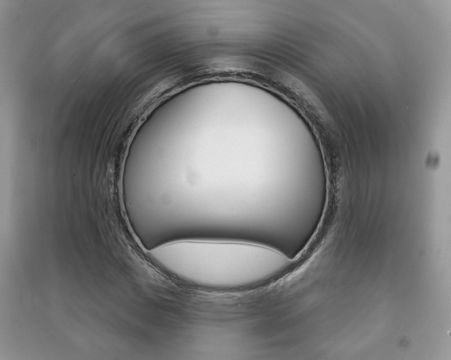 X0000091170825200708091022
