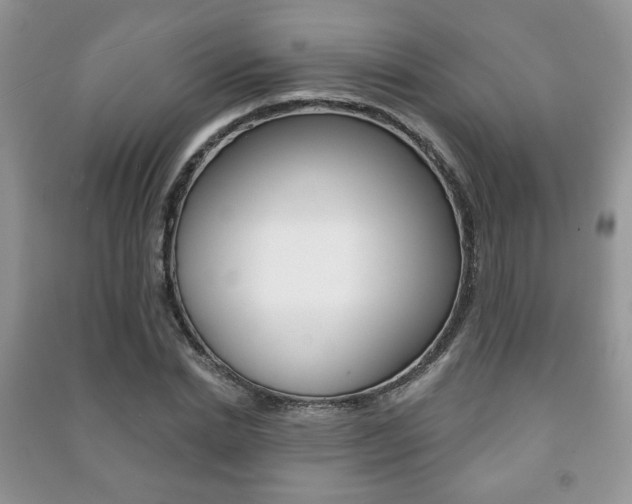 X0000091170830200708091022