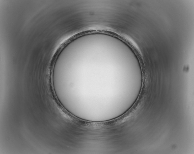 X0000091170831200708091022
