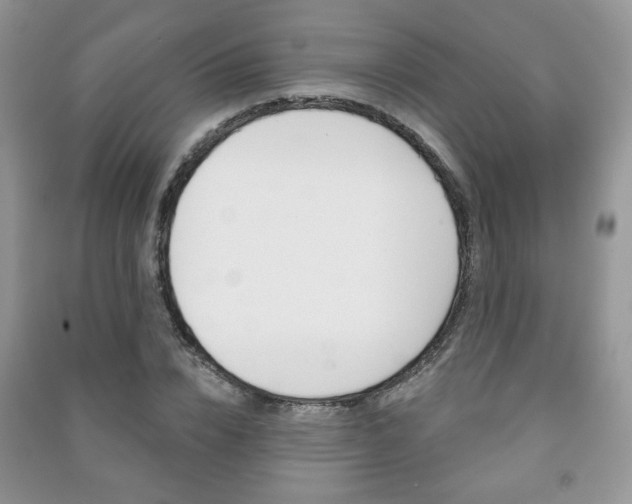 X0000091170832200708091022