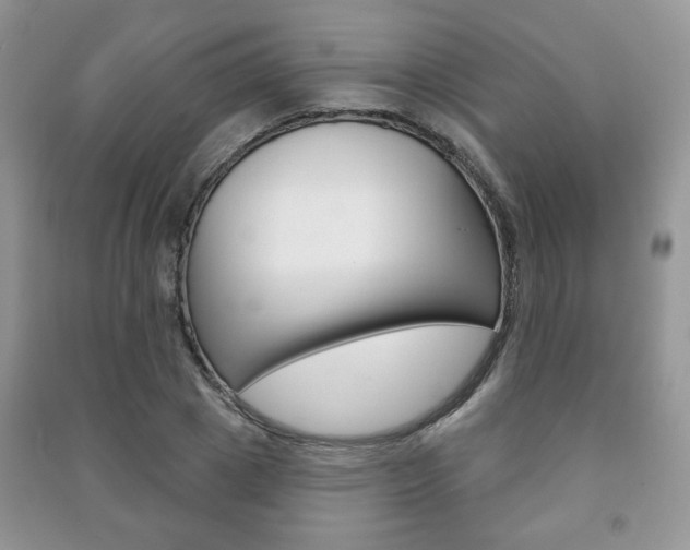 X0000091170833200708091022