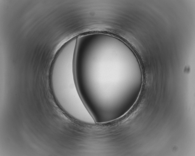 X0000091170834200708091022