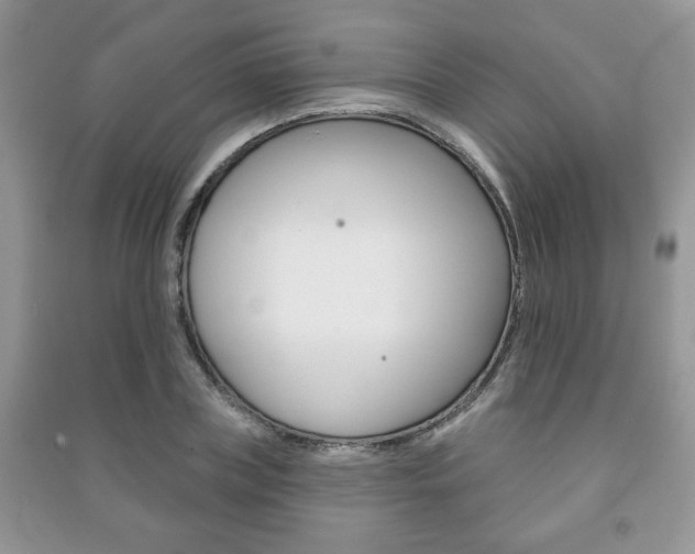 X0000091170835200708091022