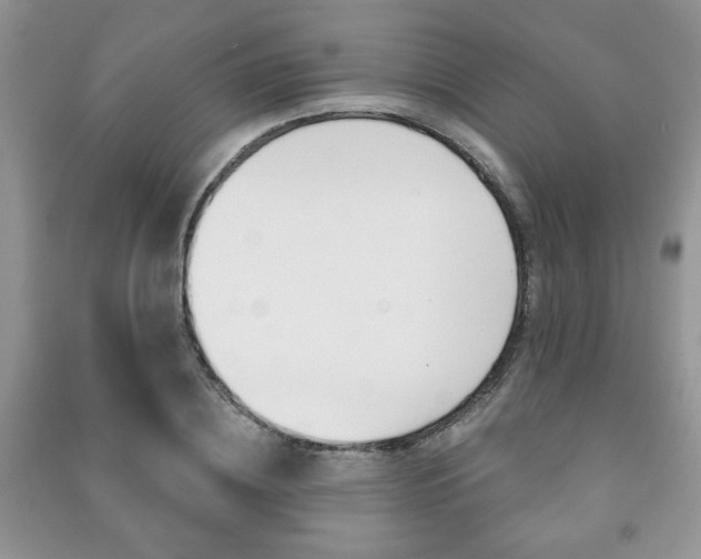 X0000091170836200708091022