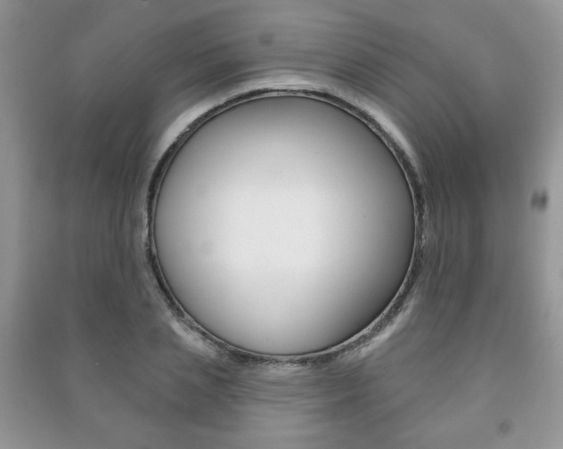 X0000091170837200708091022