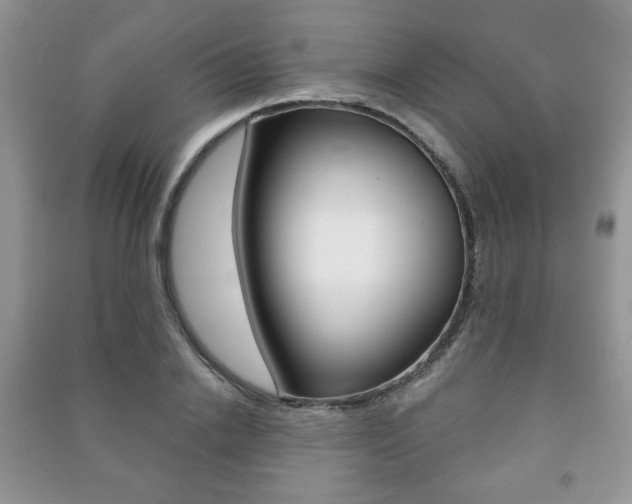 X0000091170838200708091022