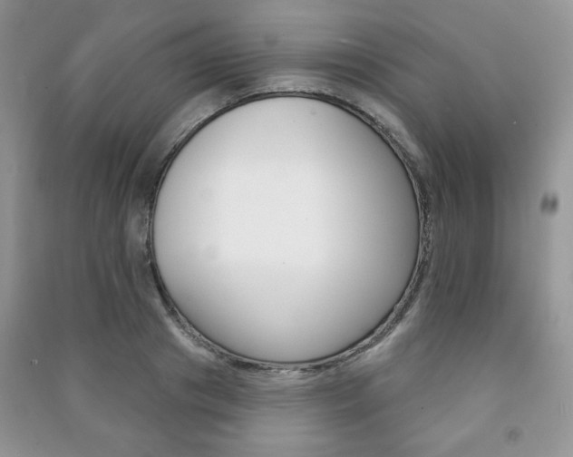 X0000091170841200708091022