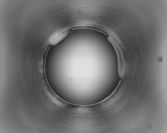 X0000091170842200708091022