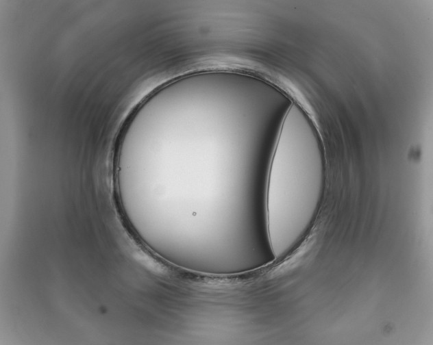 X0000091170843200708091022