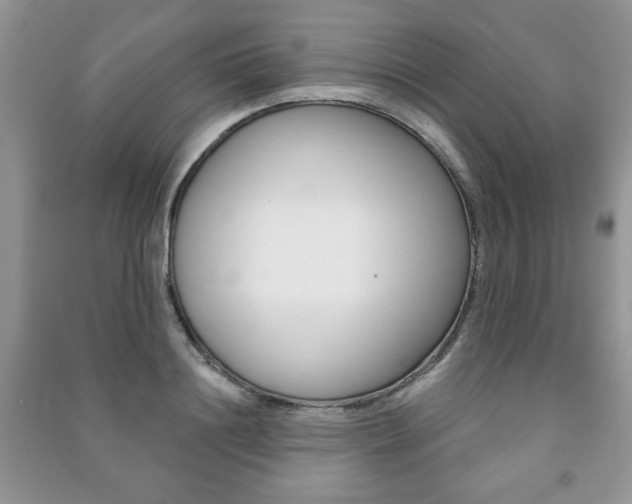 X0000091170844200708091022