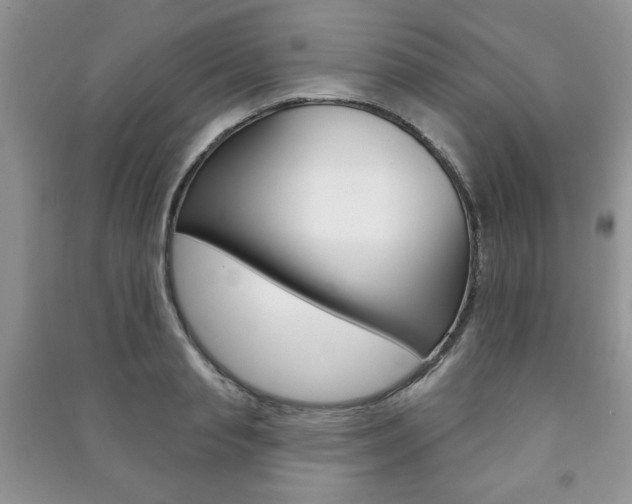 X0000091170845200708091022