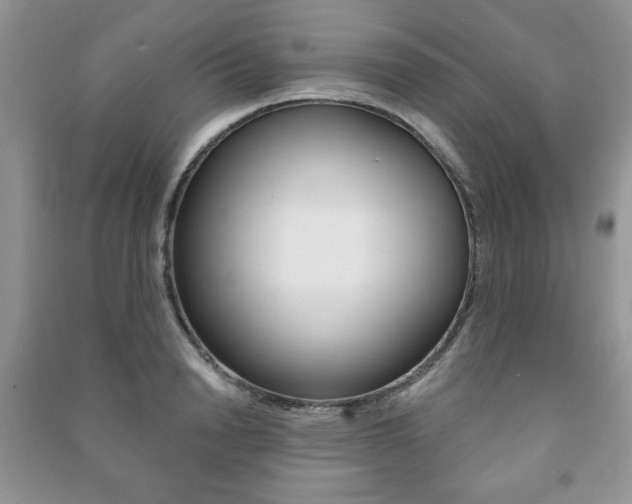 X0000091170846200708091022