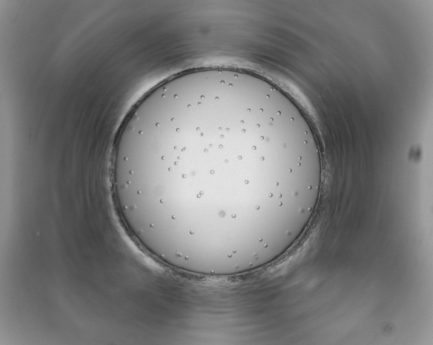X0000091170847200708091022