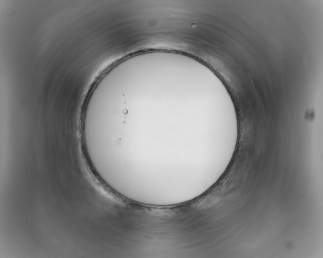 X0000091170848200708091022