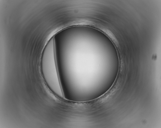 X0000091170850200708091022